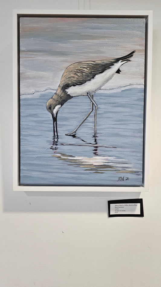 Where there's a Willet, there's a Way