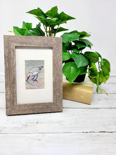 Sanderling Mini Original 2