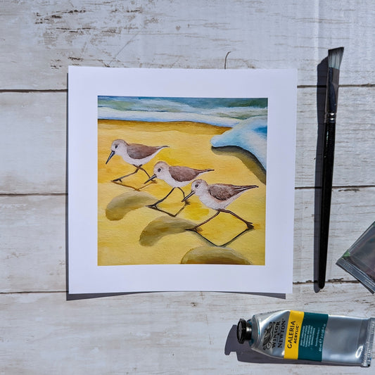 Sanderlings Print