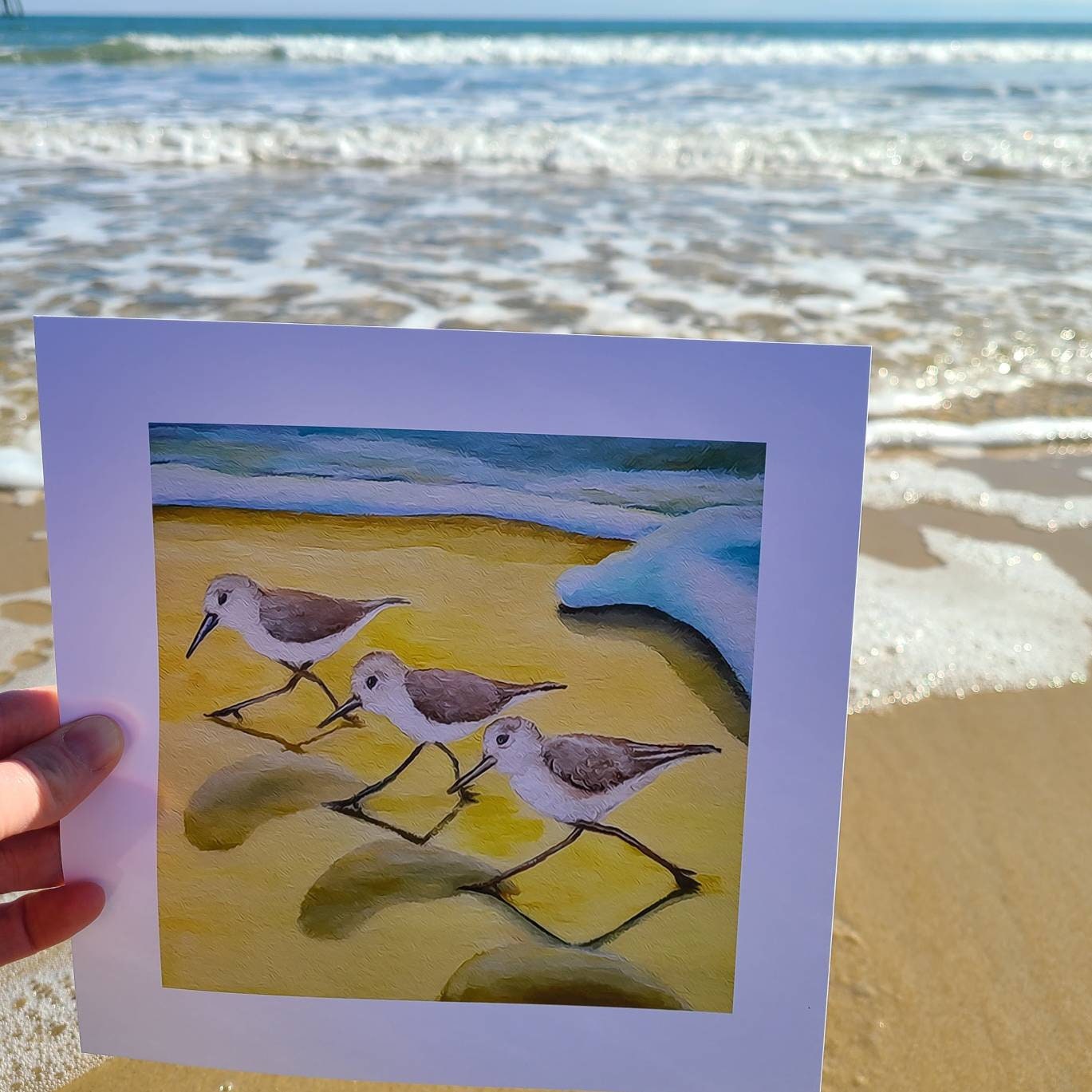 Sanderlings Print