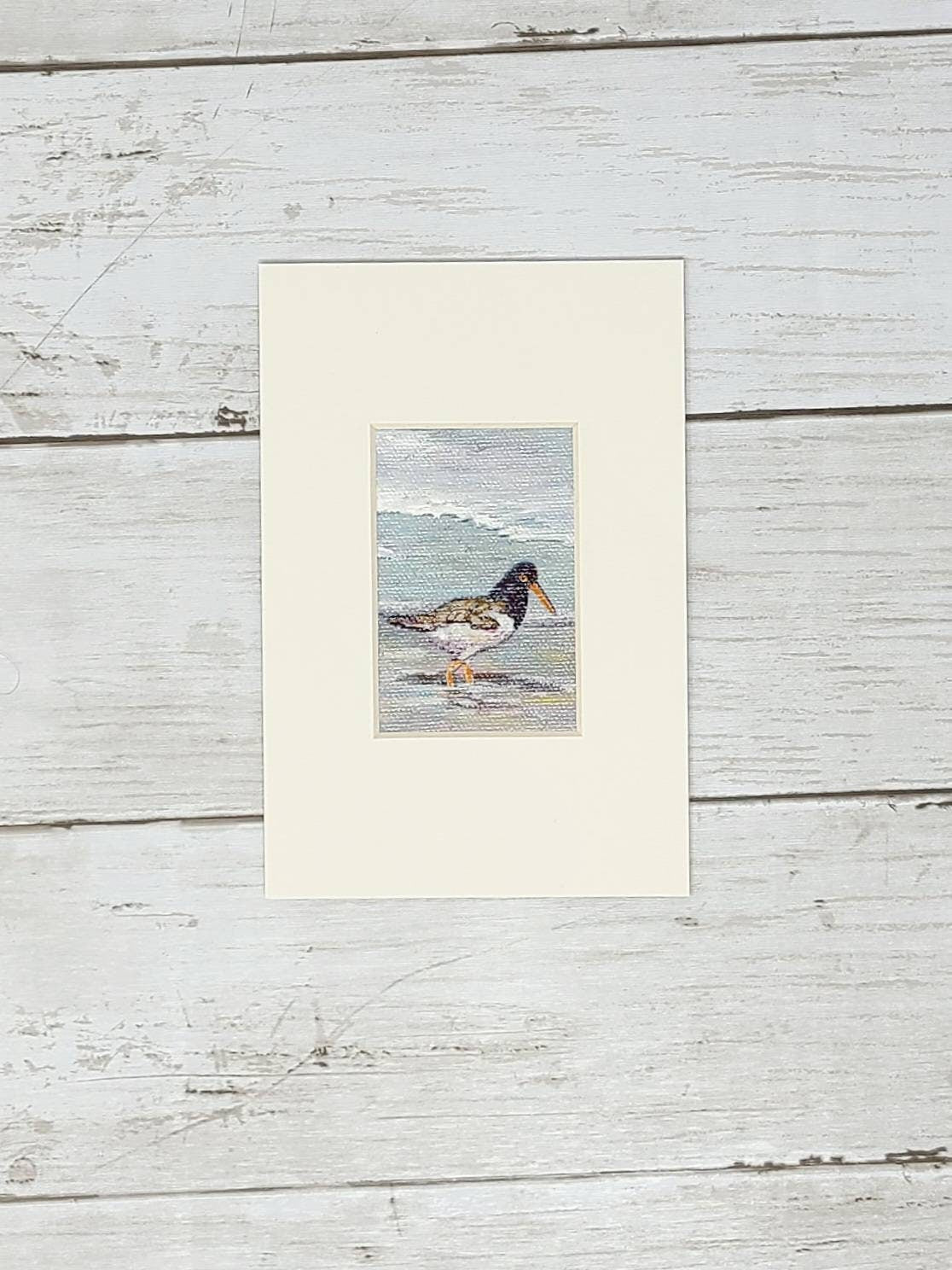 Oyster Catcher Mini Original