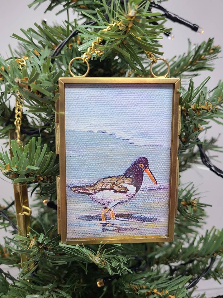 Oyster Catcher Mini Original