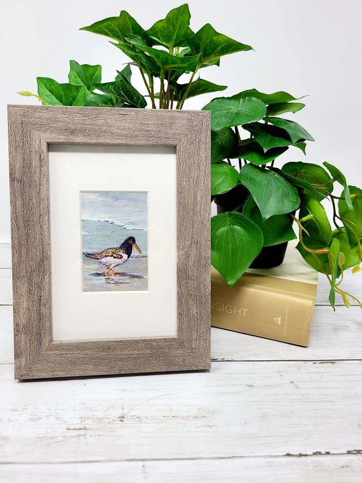 Oyster Catcher Mini Original