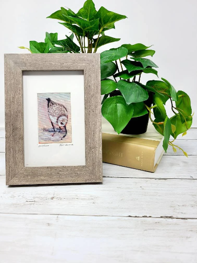 Sanderling Mini Original