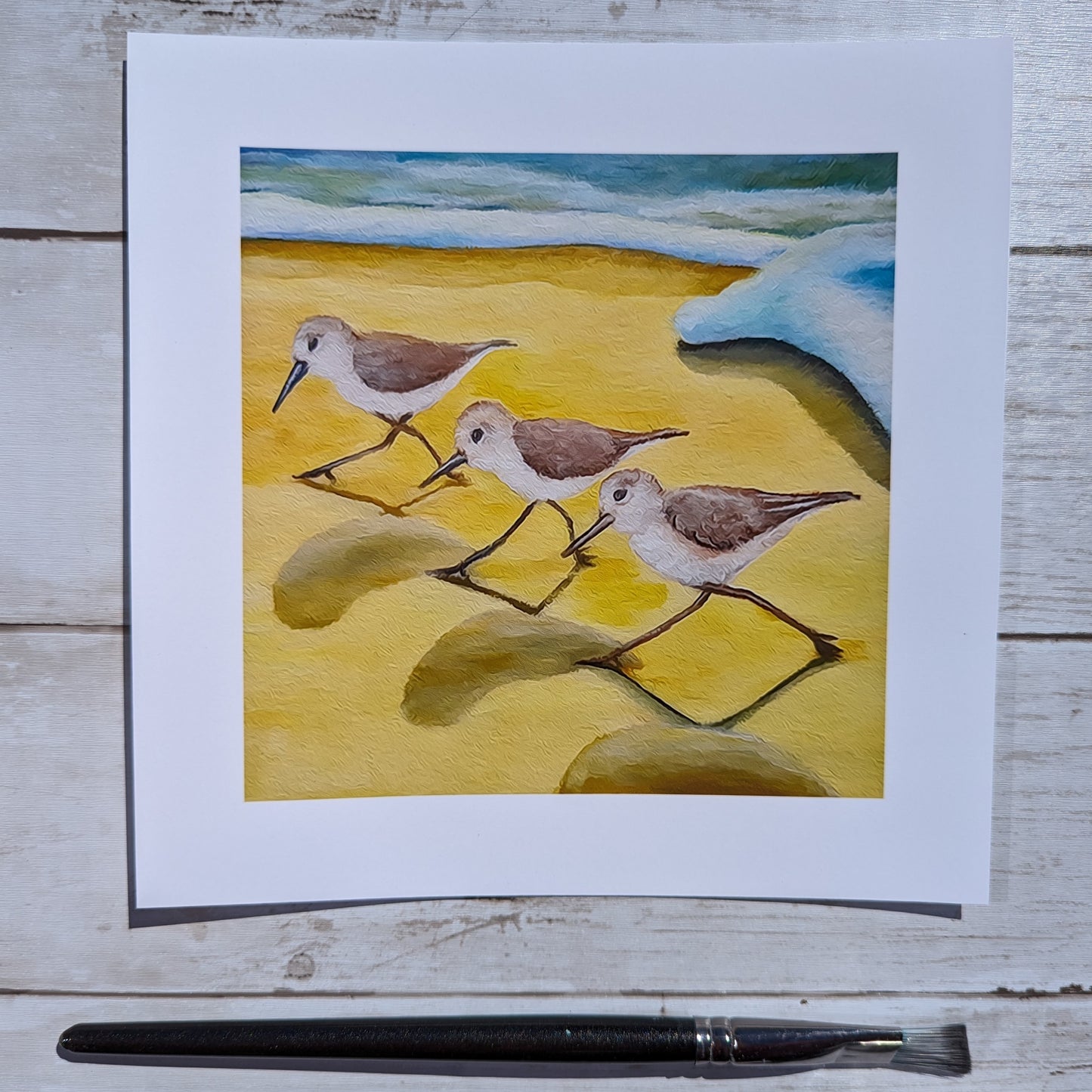 Sanderlings Print