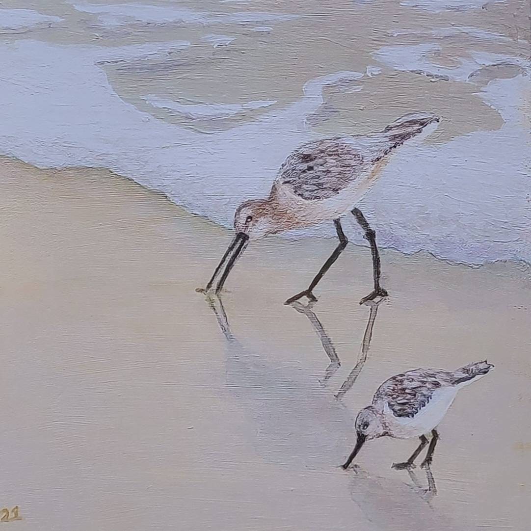 Beach Birds Print